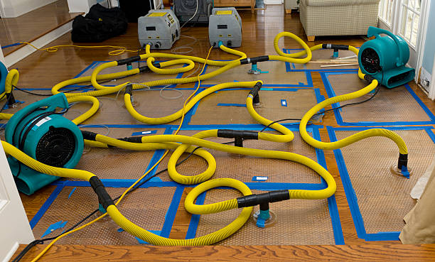 Professional Crawl Space Water Removal technician working in Eldorado, IL